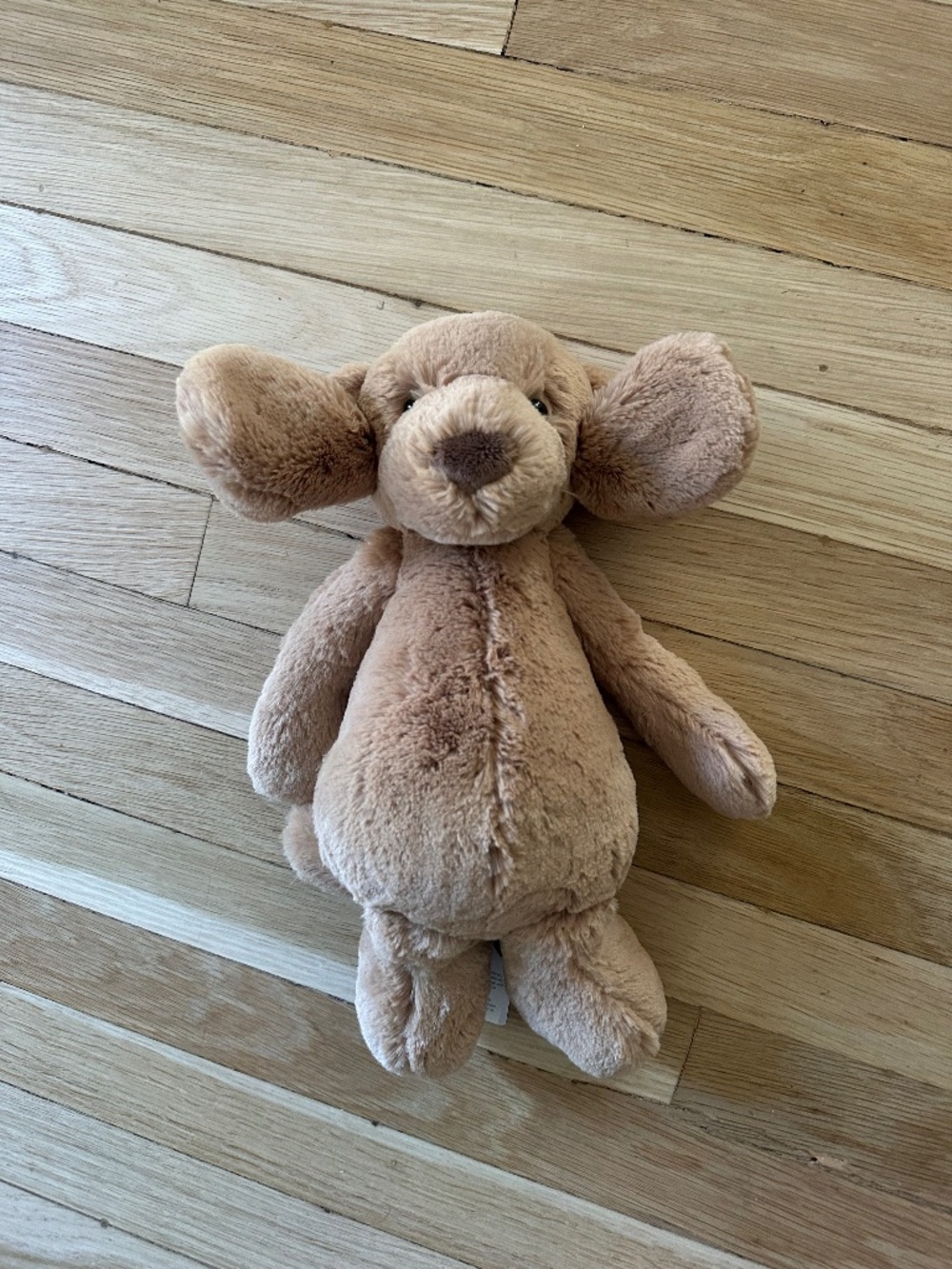 Jellycat golden retriever bashful toffee puppy